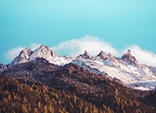 333体育｜电竞-官方网站：开启无界电竞新纪元