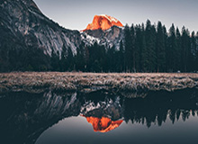 体育赛事-NBA官方实力榜 雄鹿绿军掘金前三 勇士15湖人23